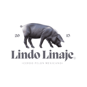 Lindo Linaje