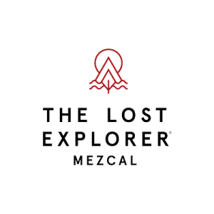 The Lost Explorer